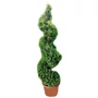 Kép 1/2 - Cupessocyparis leylandii 'Gold Rider' / Aranylombú leylandi ciprus (spirál)