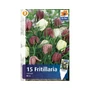 Kép 2/2 - Fritillaria meleagris mix / Perzsa kockásliliom mix