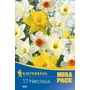 Kép 1/2 - Narcissus 'Mega Pack' / Nagyvirágú nárcisz mix virághagyma