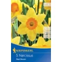 Kép 1/2 - Narcissus 'Red Devon' / 'Red Devon' nagykoronájú nárcisz virághagyma