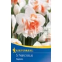 Kép 1/2 - Narcissus 'Replete' / 'Replete' teltvirágú nárcisz virághagyma