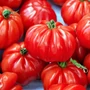 Kép 2/2 - 'Marmande' paradicsom palánta
