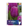 Kép 2/2 - Tulipa 'Purple Prince' / Tulipán