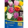 Kép 1/2 - Tulipa 'Mega Pack' / Rojtosvirágú tulipán mix virághagyma