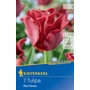 Kép 1/2 - Tulipa 'Red Dress' / 'Red Dress' korona tulipán virághagyma