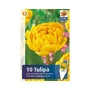 Kép 2/2 - Tulipa 'Yellow Pomponette' / Tulipán