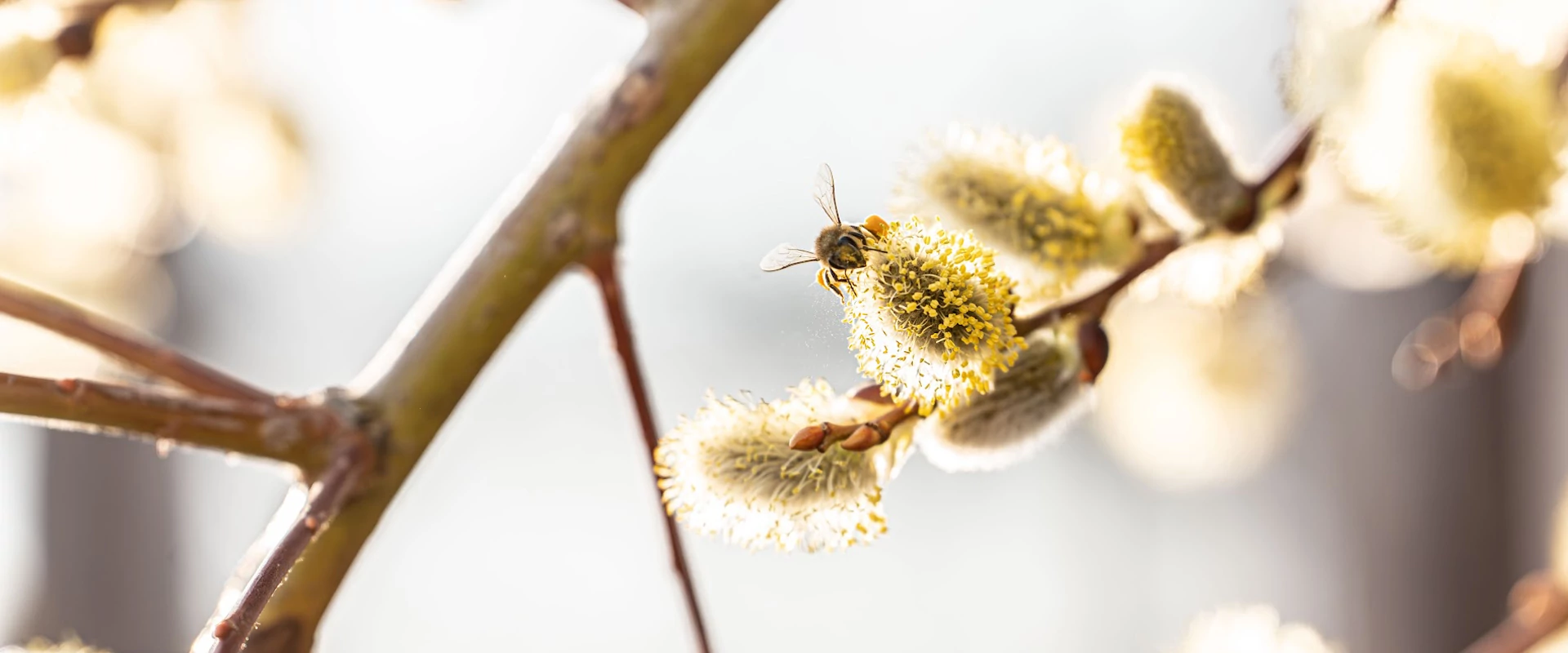 Tavaszi újdonságok